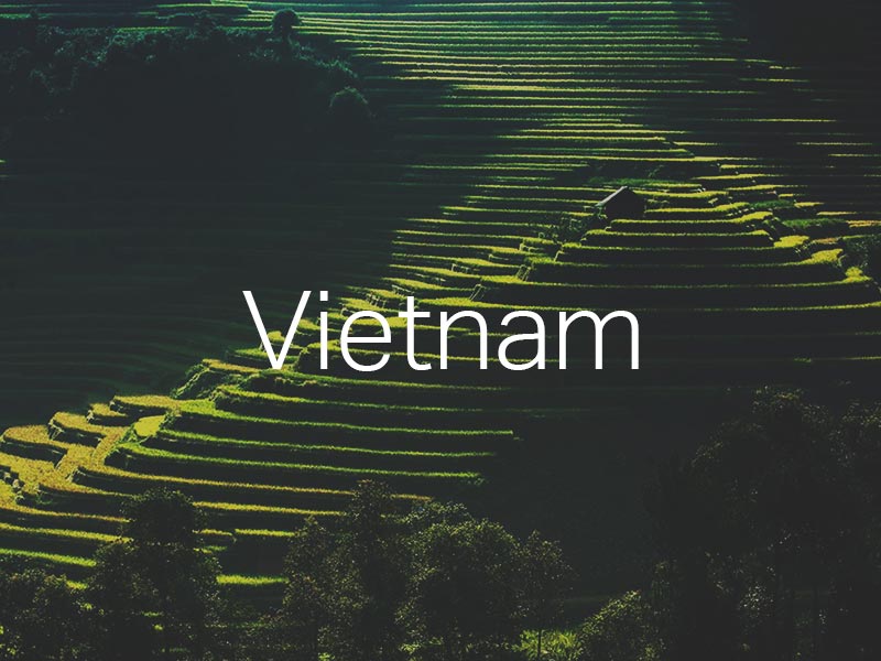 Travel to Vietnam Tips and Everything You Need to Know